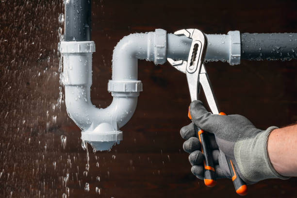 Professional Plumbing technician working in The Plains, OH